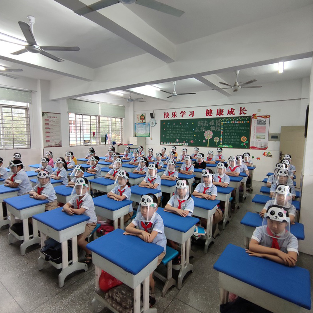 2Pcs Kids Protective Face Guar - огляд і ціна Kids Face Mask